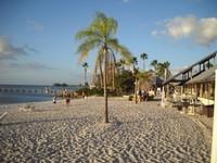 	
Sunset Grill, Bahia Beach; Saturday, November 26, 2011 