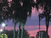 Gulf Drive Cafe, Bradenton Beach; Saturday, September 17, 2011