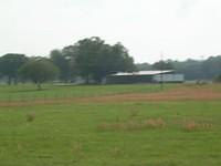 aai