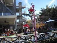 aau