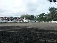 acf