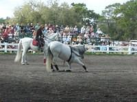 acp