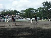 aef