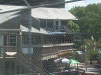aau