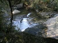 afs