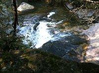 aad