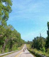 image000009.jpeg