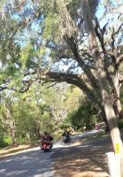 IMG_4032.jpeg