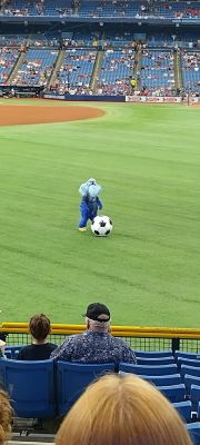 Rays13.jpg